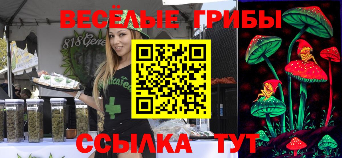Галлюциногенные грибы GOLDEN TEACHER  Вход с VPN  Ртищево 